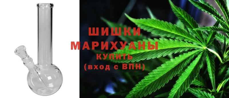 закладка  Богданович  Шишки марихуана THC 21% 